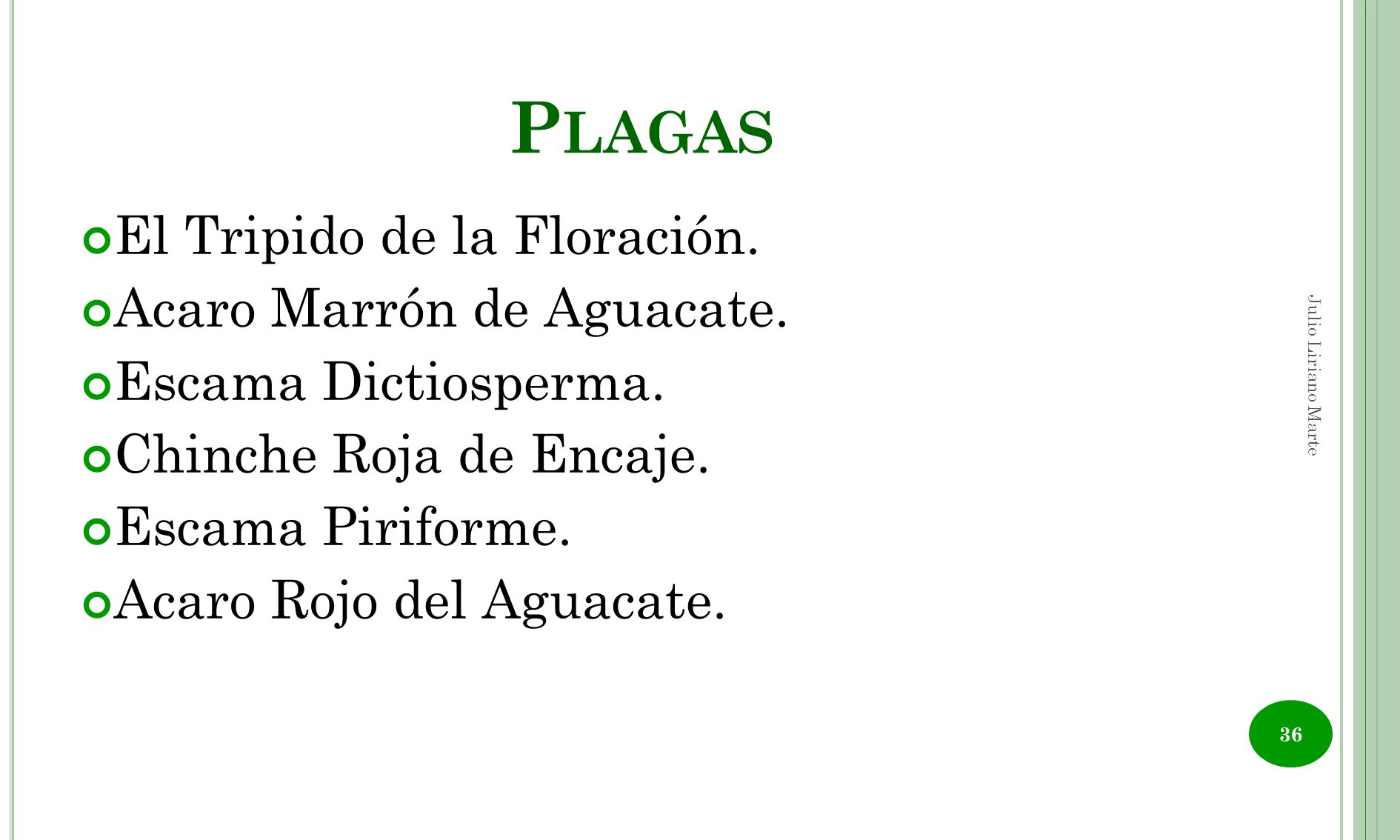 Plagas El Tripido de la Floración. Acaro Marrón de Aguacate.