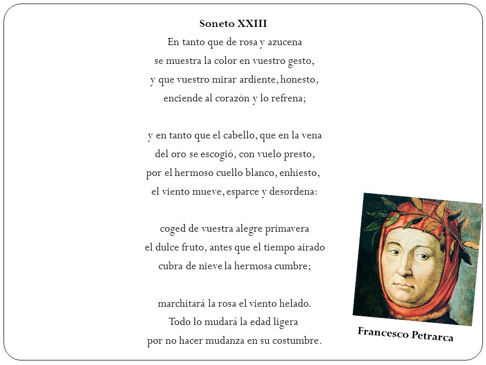 Soneto XXIII En tanto que de rosa y azucena se muestra la color en vuestro gesto, y que vuestro mirar ardiente, honesto, enciende al corazón y lo refrena; y en tanto que el cabello, que en la vena del oro se escogió, con vuelo presto, por el hermoso cuello blanco, enhiesto, el viento mueve, esparce y desordena: coged de vuestra alegre primavera el dulce fruto, antes que el tiempo airado cubra de nieve la hermosa cumbre; marchitará la rosa el viento helado. Todo lo mudará la edad ligera por no hacer mudanza en su costumbre.