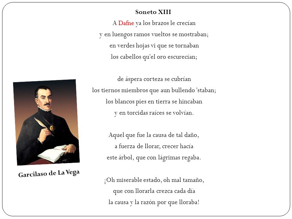 Soneto XIII A Dafne ya los brazos le crecían y en luengos ramos vueltos se mostraban; en verdes hojas vi que se tornaban los cabellos qu el oro escurecían; de áspera corteza se cubrían los tiernos miembros que aun bullendo staban; los blancos pies en tierra se hincaban y en torcidas raíces se volvían. Aquel que fue la causa de tal daño, a fuerza de llorar, crecer hacía este árbol, que con lágrimas regaba. ¡Oh miserable estado, oh mal tamaño, que con llorarla crezca cada día la causa y la razón por que lloraba!