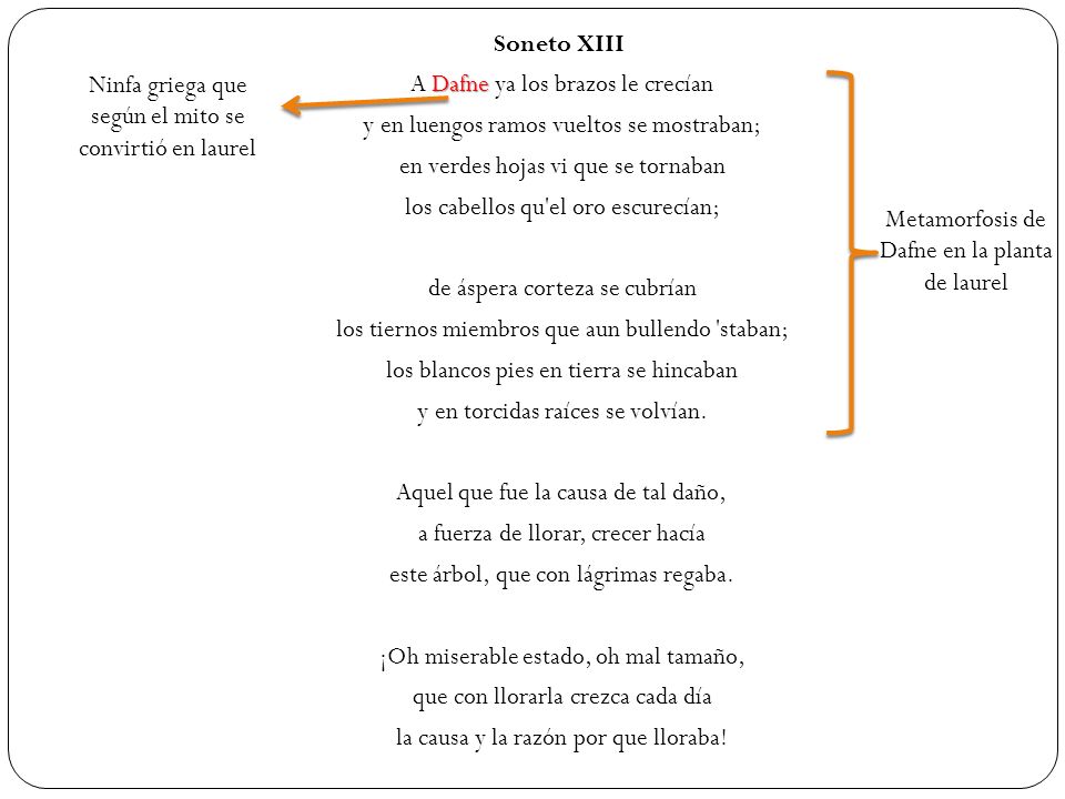 Ninfa griega que según el mito se convirtió en laurel