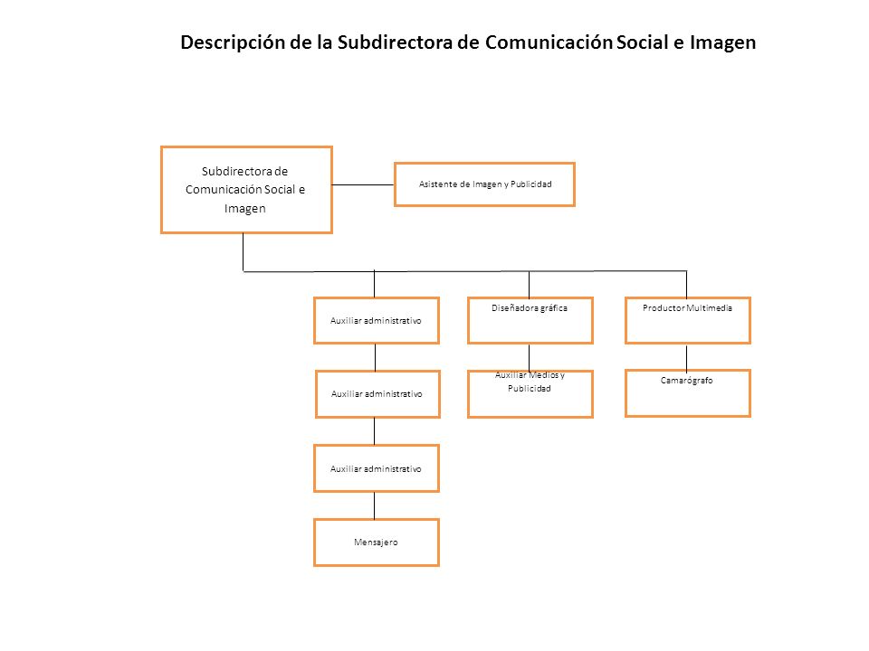 Descripción de la Subdirectora de Comunicación Social e Imagen