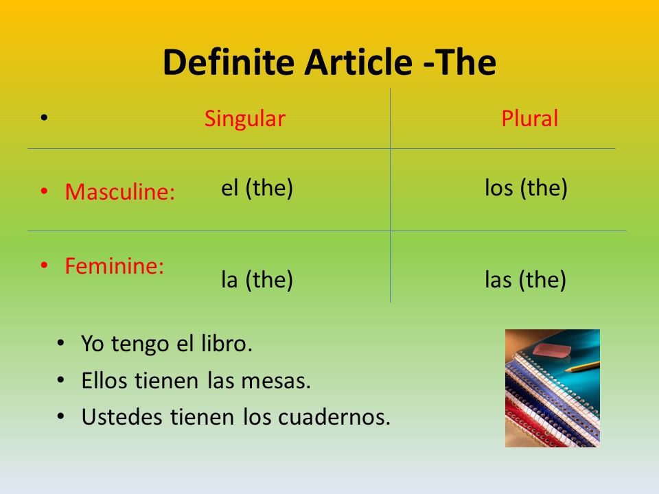 Definite Article -The Singular Plural Masculine: el (the) los (the)