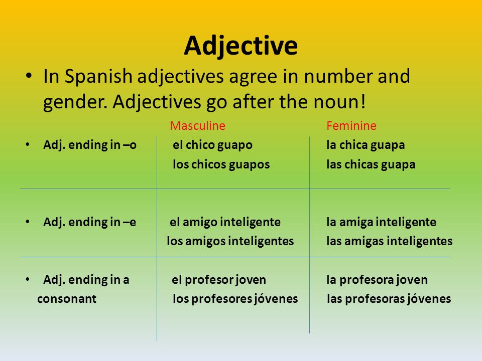Adjective In Spanish adjectives agree in number and gender. Adjectives go after the noun! Masculine Feminine.