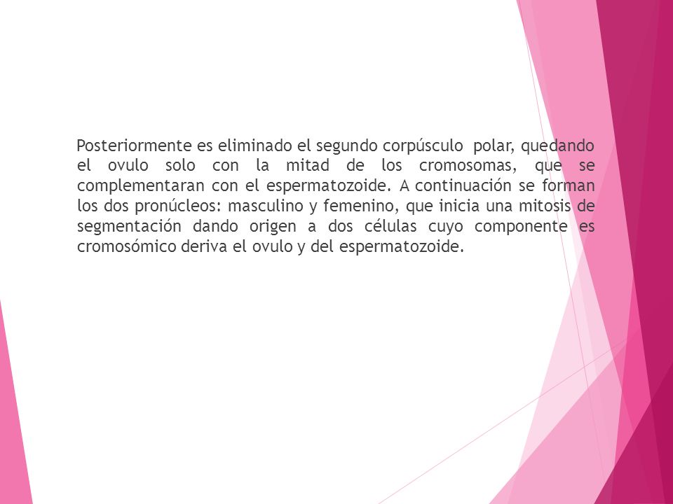 Posteriormente es eliminado el segundo corpúsculo polar, quedando el ovulo solo con la mitad de los cromosomas, que se complementaran con el espermatozoide.