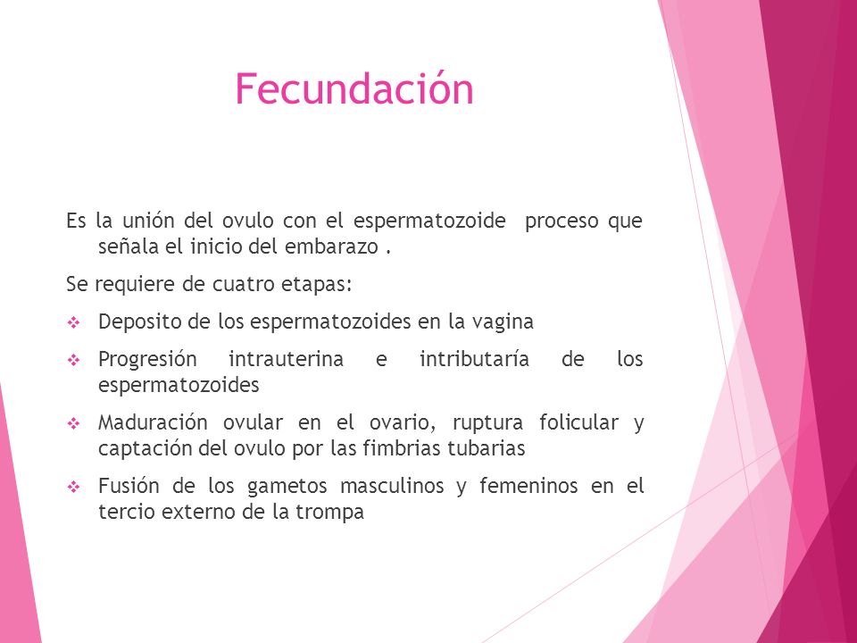 Fecundación Es la unión del ovulo con el espermatozoide proceso que señala el inicio del embarazo .