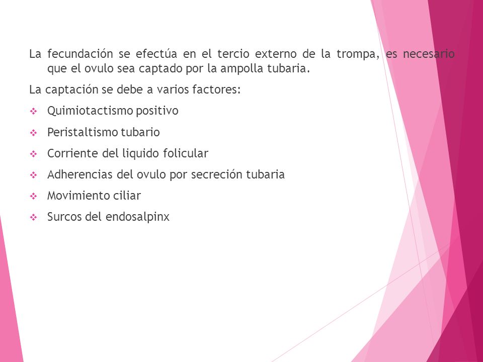 La fecundación se efectúa en el tercio externo de la trompa, es necesario que el ovulo sea captado por la ampolla tubaria.