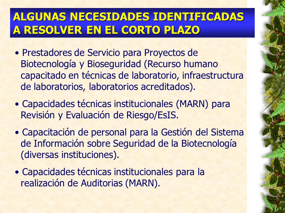 ALGUNAS NECESIDADES IDENTIFICADAS A RESOLVER EN EL CORTO PLAZO