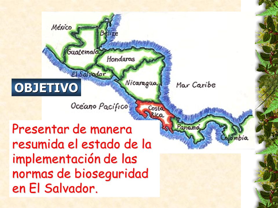 OBJETIVO Presentar de manera resumida el estado de la implementación de las normas de bioseguridad en El Salvador.