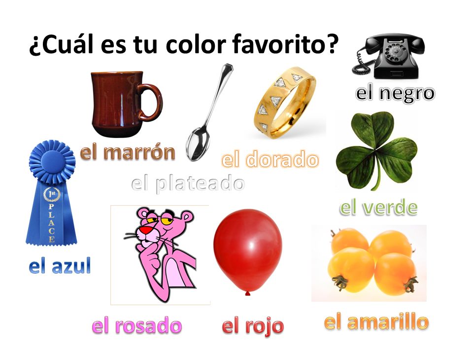 ¿Cuál es tu color favorito