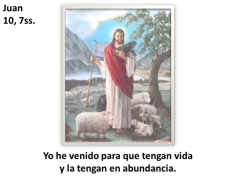 Yo he venido para que tengan vida y la tengan en abundancia.