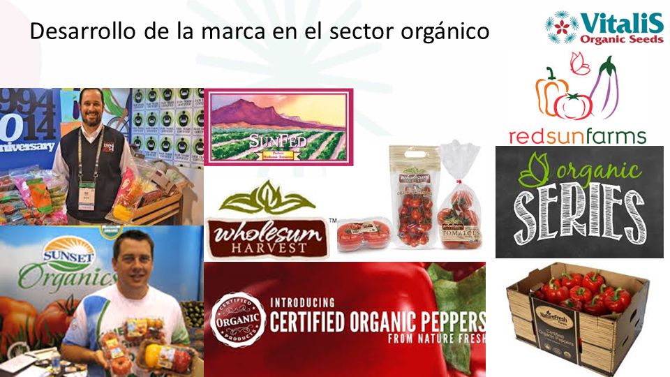 Desarrollo de la marca en el sector orgánico