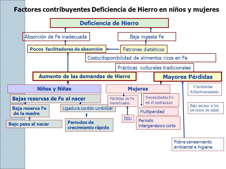 Factores contribuyentes Deficiencia de Hierro en niños y mujeres