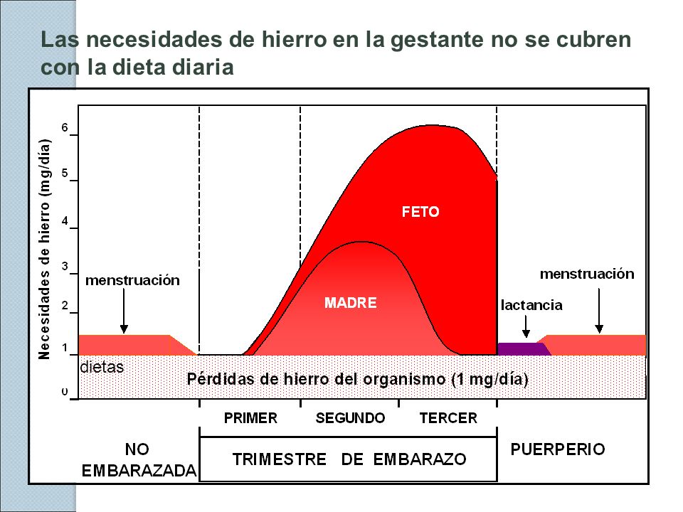 Las necesidades de hierro en la gestante no se cubren con la dieta diaria