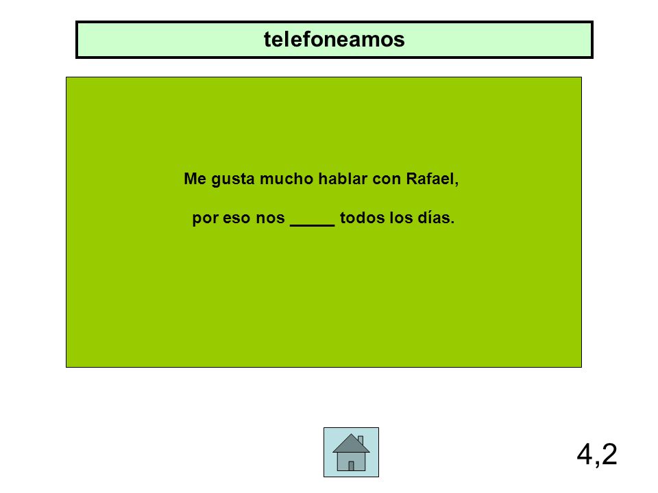 Me gusta mucho hablar con Rafael, por eso nos _____ todos los días.