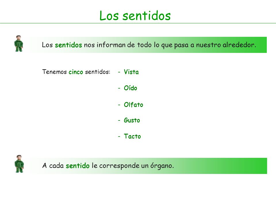 Los sentidos Los sentidos nos informan de todo lo que pasa a nuestro alrededor. Tenemos cinco sentidos: