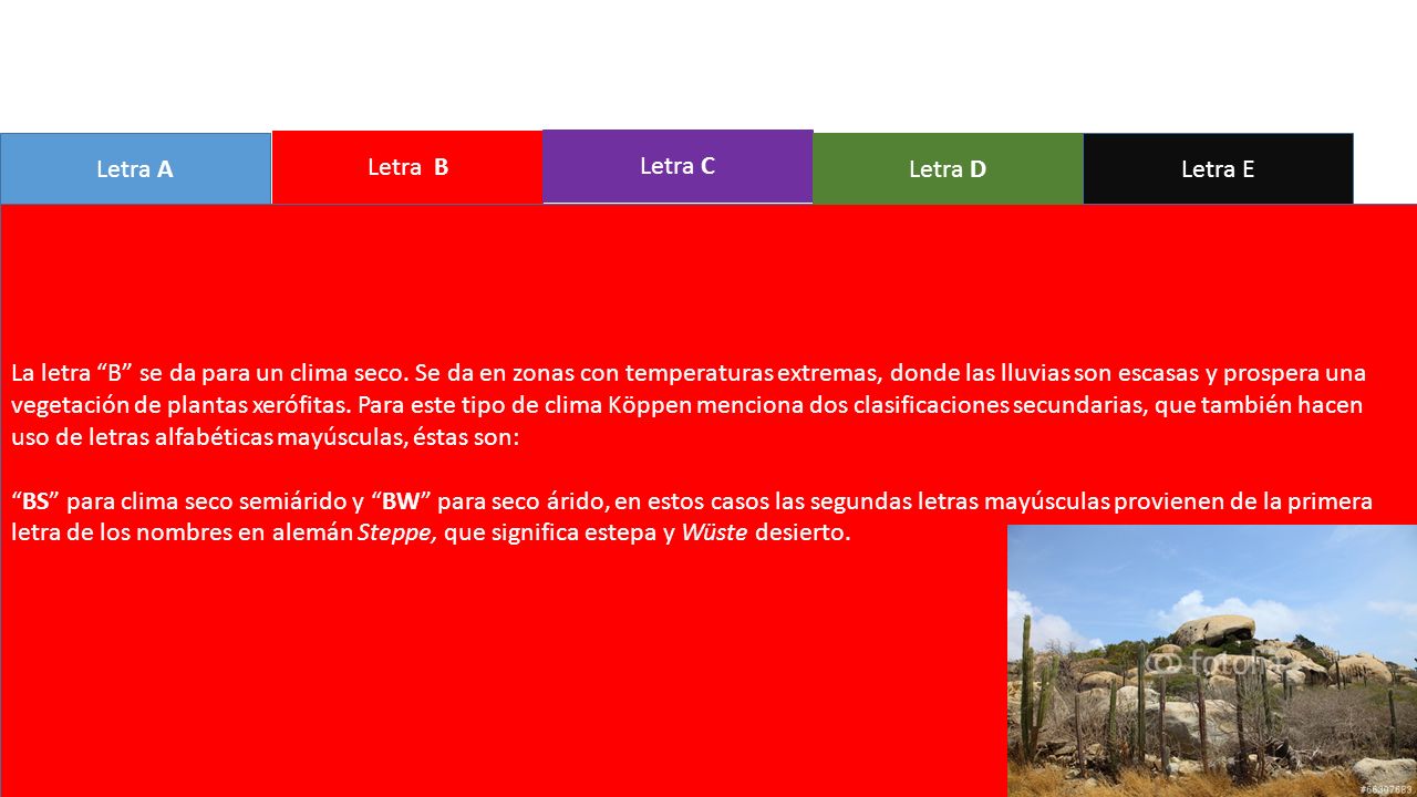 Letra A Letra B. Letra C. Letra D. Letra E.
