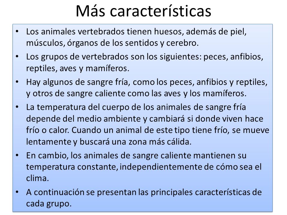 Más características Los animales vertebrados tienen huesos, además de piel, músculos, órganos de los sentidos y cerebro.