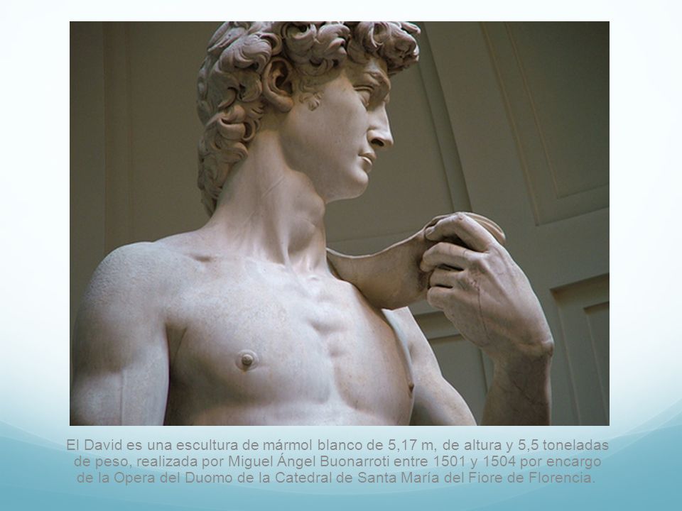 El David es una escultura de mármol blanco de 5,17 m, de altura y 5,5 toneladas de peso, realizada por Miguel Ángel Buonarroti entre 1501 y 1504 por encargo de la Opera del Duomo de la Catedral de Santa María del Fiore de Florencia.