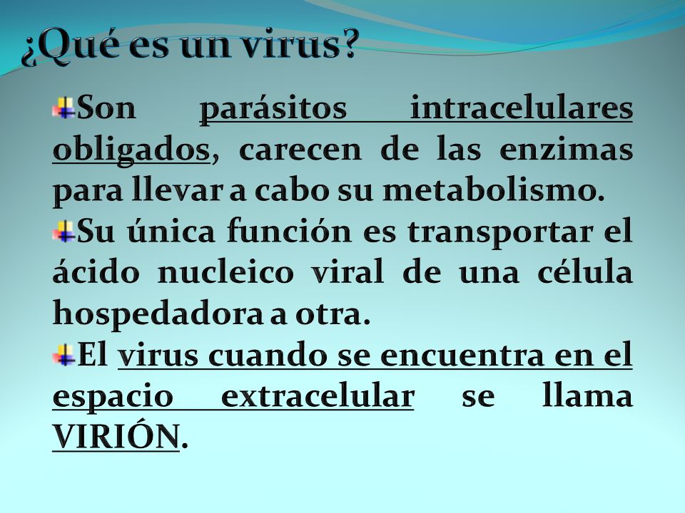 ¿Qué es un virus Son parásitos intracelulares obligados, carecen de las enzimas para llevar a cabo su metabolismo.