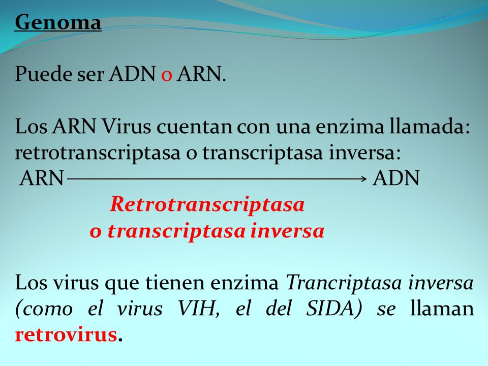Genoma Puede ser ADN o ARN. Los ARN Virus cuentan con una enzima llamada: retrotranscriptasa o transcriptasa inversa:
