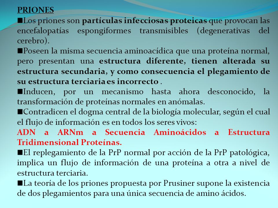 Priones Los priones son partículas infecciosas proteicas que provocan las encefalopatías espongiformes transmisibles (degenerativas del cerebro).