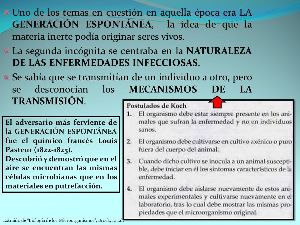 Uno de los temas en cuestión en aquella época era LA GENERACIÓN ESPONTÁNEA, la idea de que la materia inerte podía originar seres vivos.
