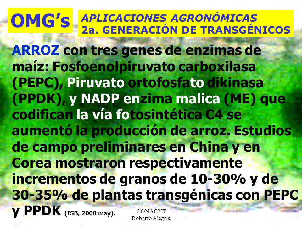 OMG’s APLICACIONES AGRONÓMICAS. 2a. GENERACIÓN DE TRANSGÉNICOS.