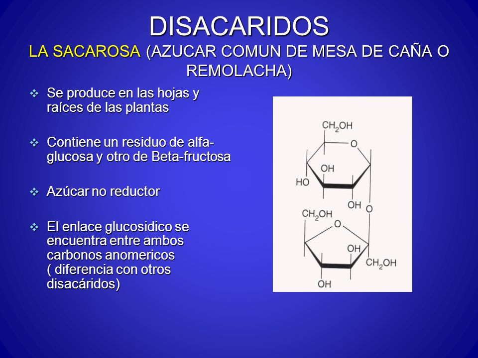 DISACARIDOS LA SACAROSA (AZUCAR COMUN DE MESA DE CAÑA O REMOLACHA)