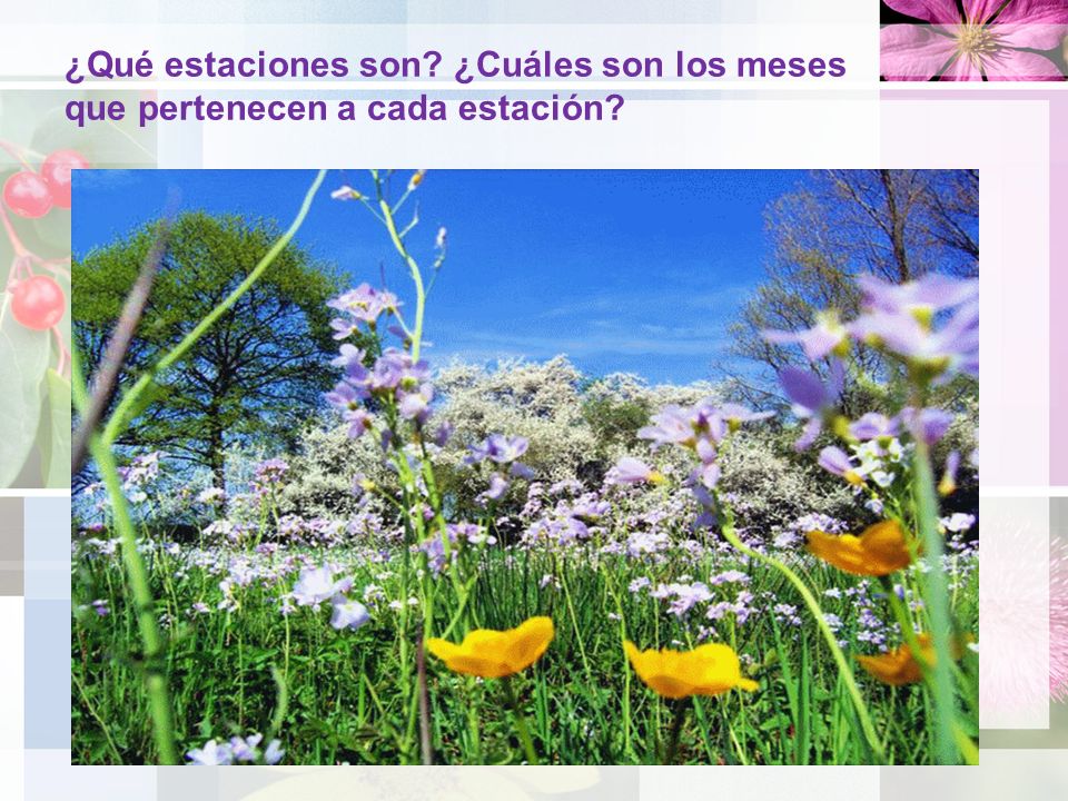 ¿Qué estaciones son ¿Cuáles son los meses que pertenecen a cada estación