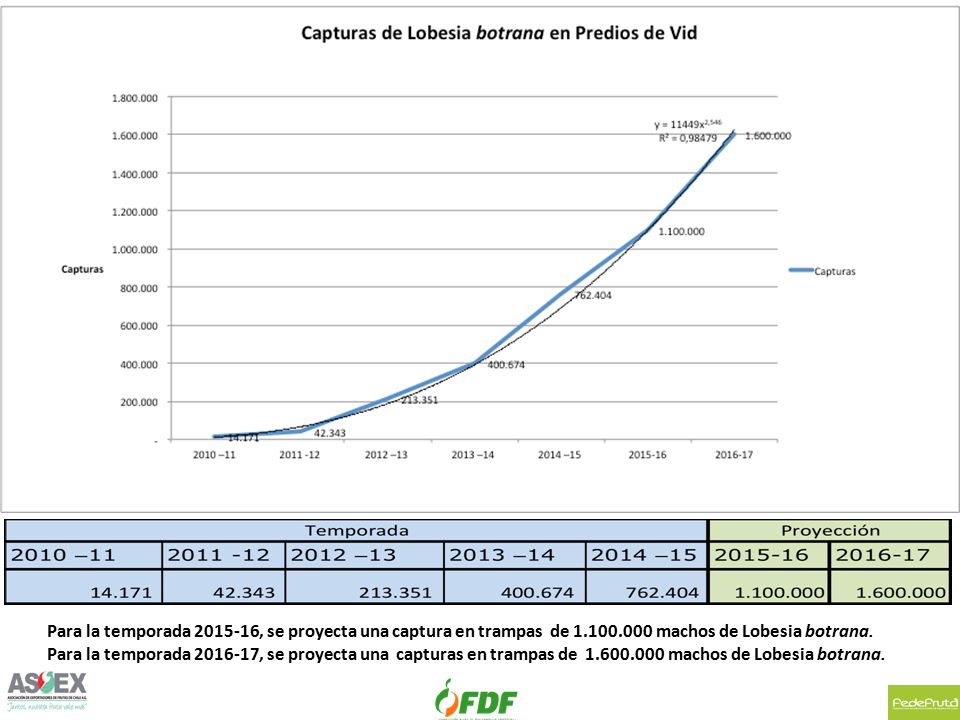 Para la temporada , se proyecta una captura en trampas de machos de Lobesia botrana.