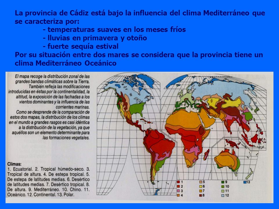La provincia de Cádiz está bajo la influencia del clima Mediterráneo que se caracteriza por: