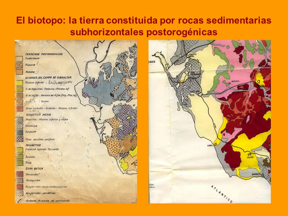 El biotopo: la tierra constituida por rocas sedimentarias subhorizontales postorogénicas