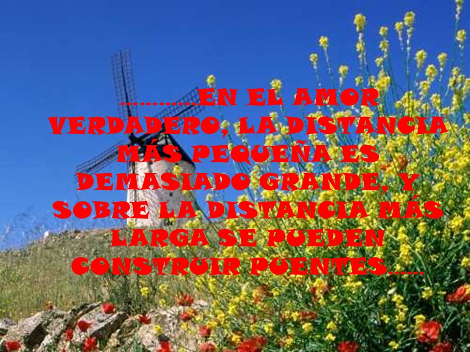 …………EN EL AMOR VERDADERO, LA DISTANCIA MÁS PEQUEÑA ES DEMASIADO GRANDE, Y SOBRE LA DISTANCIA MÁS LARGA SE PUEDEN CONSTRUIR PUENTES…...