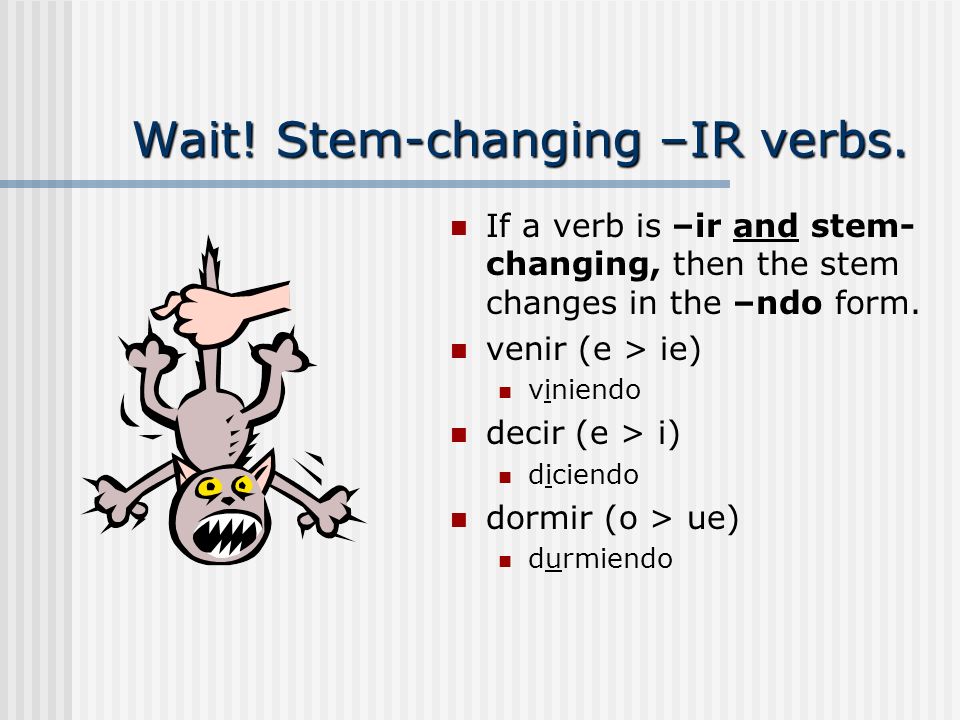 Wait! Stem-changing –IR verbs.