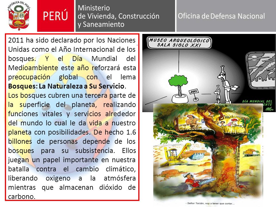 2011 ha sido declarado por los Naciones Unidas como el Año Internacional de los bosques. Y el Día Mundial del Medioambiente este año reforzará esta preocupación global con el lema Bosques: La Naturaleza a Su Servicio.