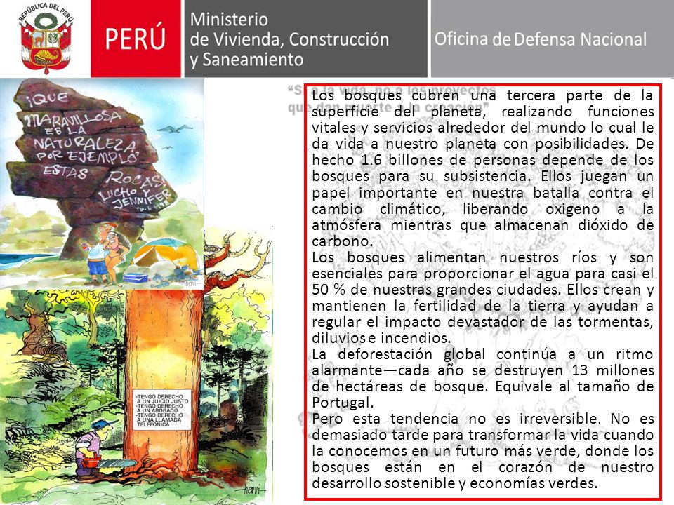 Los bosques cubren una tercera parte de la superficie del planeta, realizando funciones vitales y servicios alrededor del mundo lo cual le da vida a nuestro planeta con posibilidades. De hecho 1.6 billones de personas depende de los bosques para su subsistencia. Ellos juegan un papel importante en nuestra batalla contra el cambio climático, liberando oxigeno a la atmósfera mientras que almacenan dióxido de carbono.