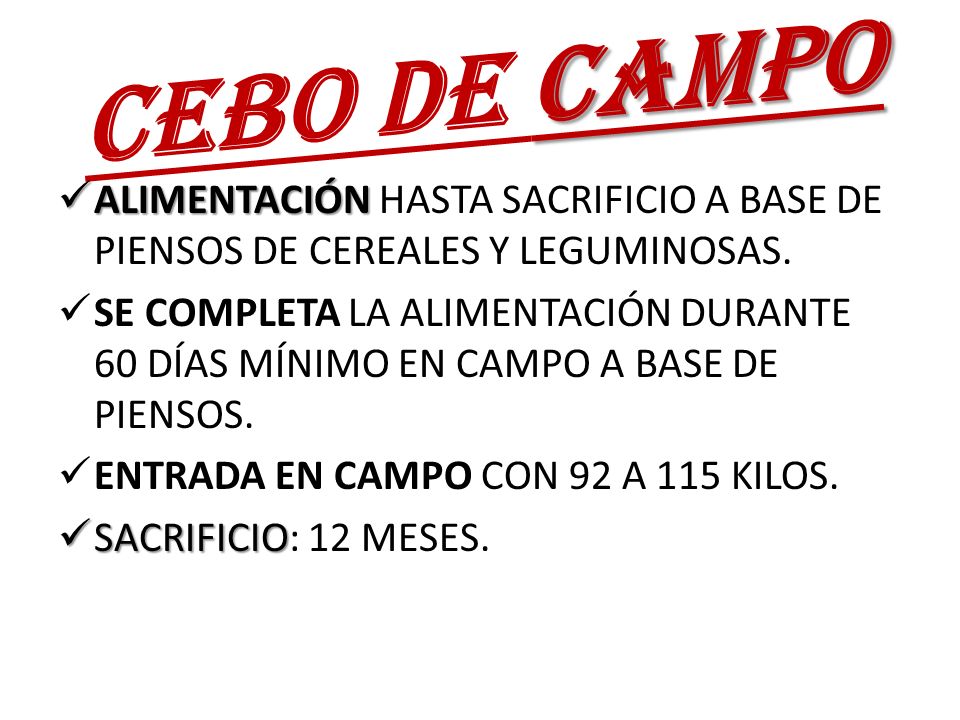 CEBO DE CAMPO ALIMENTACIÓN HASTA SACRIFICIO A BASE DE PIENSOS DE CEREALES Y LEGUMINOSAS.