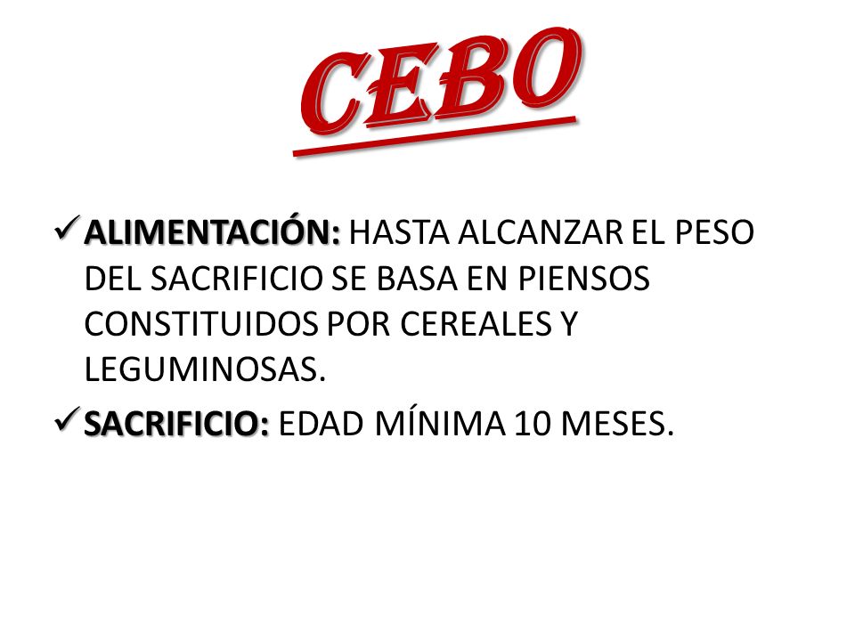 CEBO ALIMENTACIÓN: HASTA ALCANZAR EL PESO DEL SACRIFICIO SE BASA EN PIENSOS CONSTITUIDOS POR CEREALES Y LEGUMINOSAS.