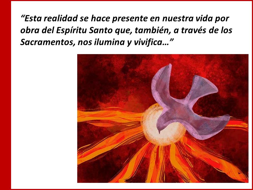 Esta realidad se hace presente en nuestra vida por obra del Espíritu Santo que, también, a través de los Sacramentos, nos ilumina y vivifica…