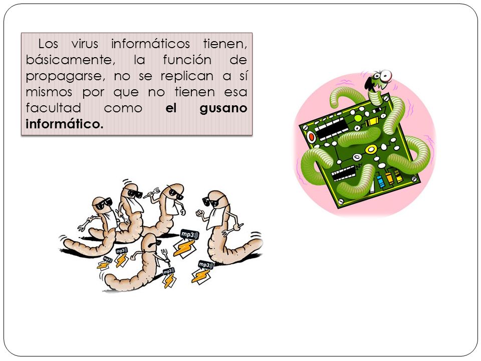 Los virus informáticos tienen, básicamente, la función de propagarse, no se replican a sí mismos por que no tienen esa facultad como el gusano informático.