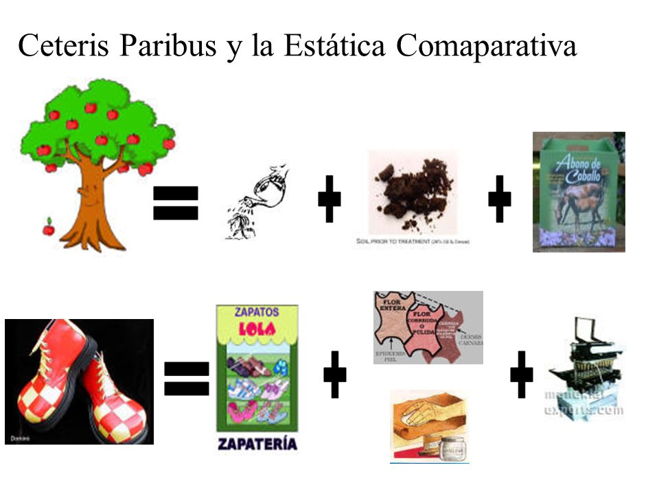 Ceteris Paribus y la Estática Comaparativa