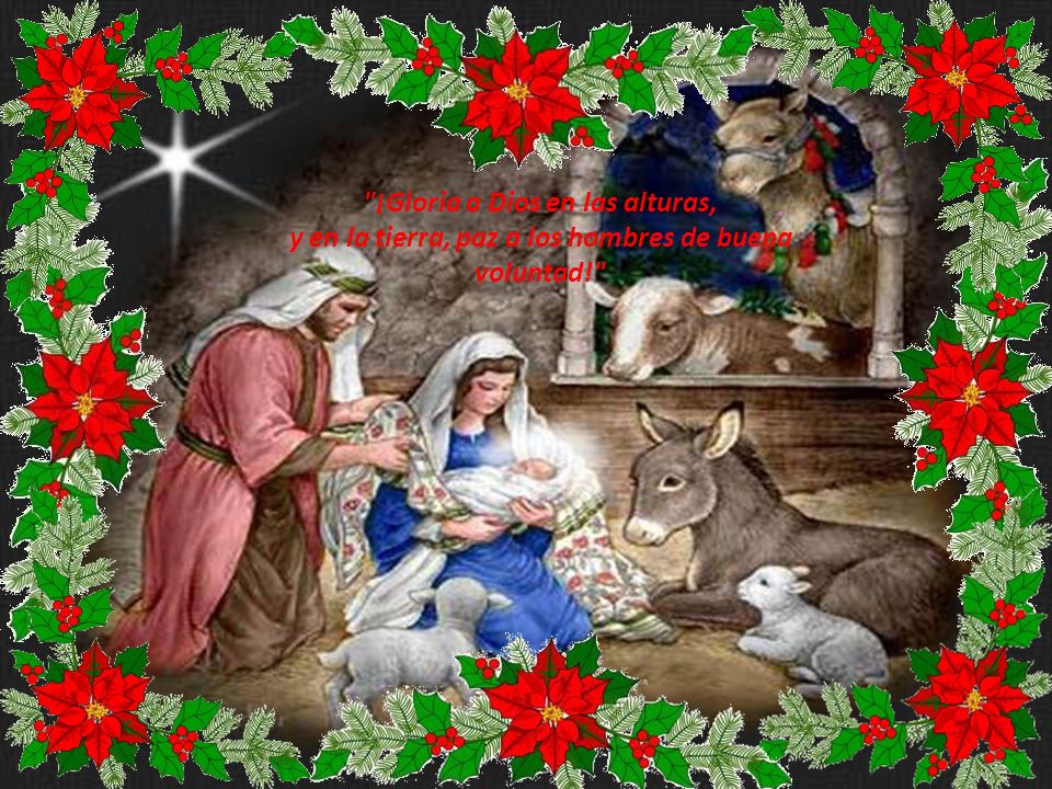 ¡Gloria a Dios en las alturas, y en la tierra, paz a los hombres de buena voluntad!