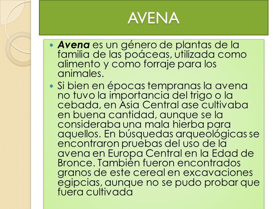 AVENA Avena es un género de plantas de la familia de las poáceas, utilizada como alimento y como forraje para los animales.