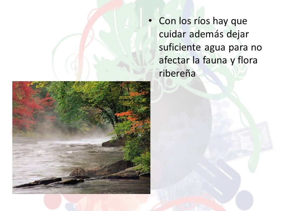 Con los ríos hay que cuidar además dejar suficiente agua para no afectar la fauna y flora ribereña