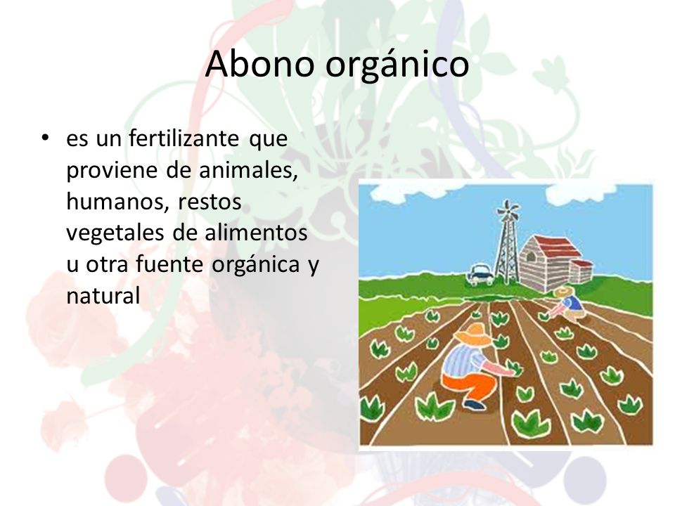 Abono orgánico es un fertilizante que proviene de animales, humanos, restos vegetales de alimentos u otra fuente orgánica y natural.