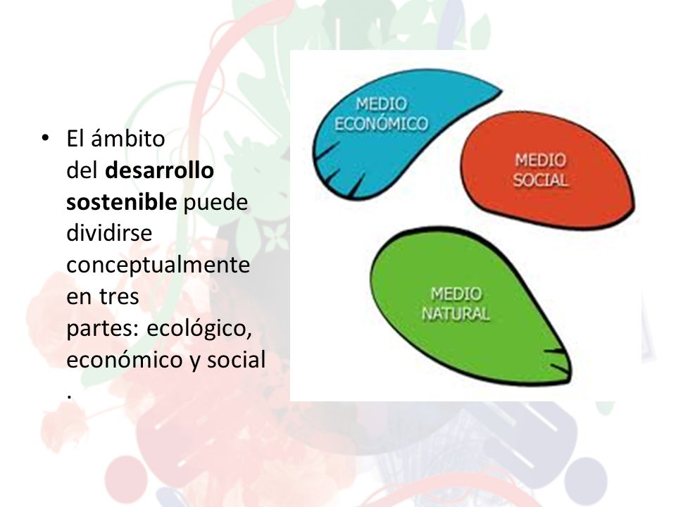 El ámbito del desarrollo sostenible puede dividirse conceptualmente en tres partes: ecológico, económico y social.