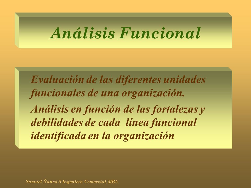 Análisis Funcional Evaluación de las diferentes unidades funcionales de una organización.