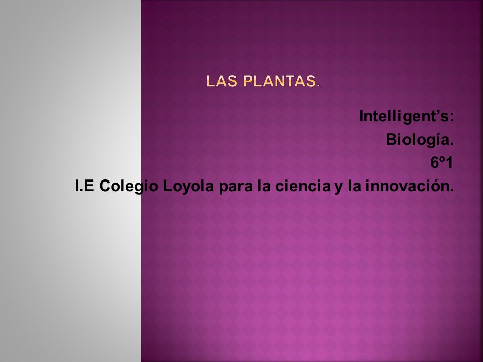 Las Plantas. Intelligent’s: Biología. 6º1 I.E Colegio Loyola para la ciencia y la innovación.