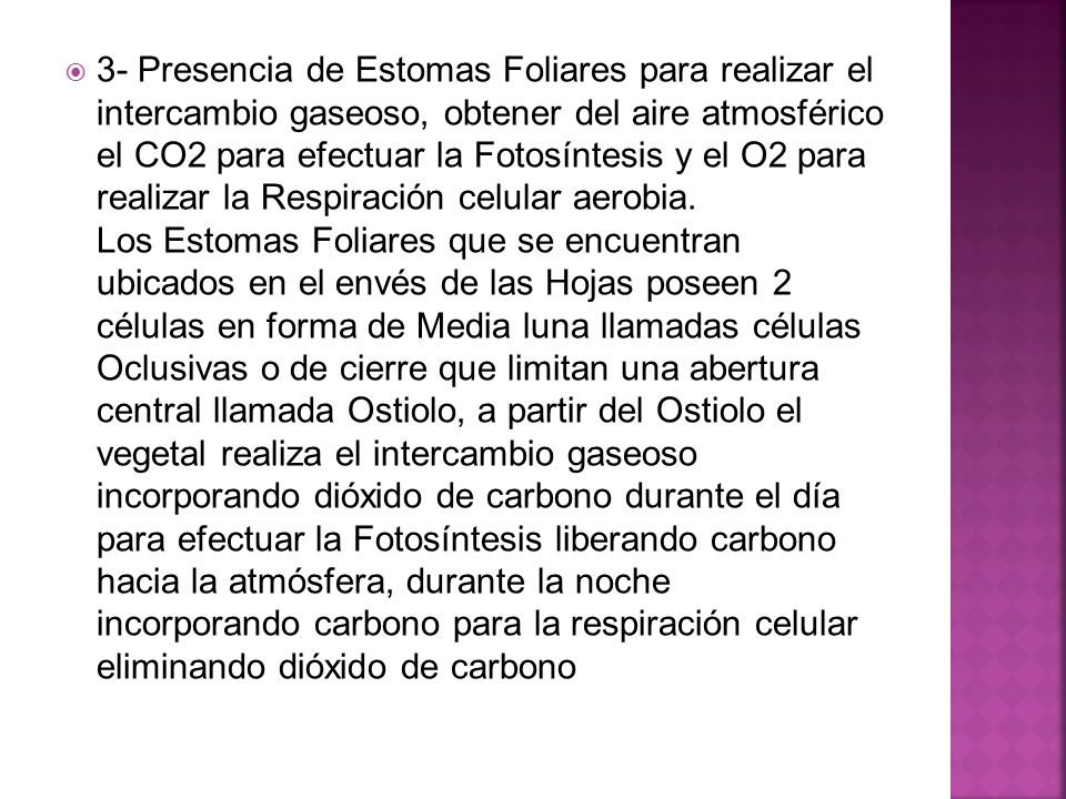 3- Presencia de Estomas Foliares para realizar el intercambio gaseoso, obtener del aire atmosférico el CO2 para efectuar la Fotosíntesis y el O2 para realizar la Respiración celular aerobia. Los Estomas Foliares que se encuentran ubicados en el envés de las Hojas poseen 2 células en forma de Media luna llamadas células Oclusivas o de cierre que limitan una abertura central llamada Ostiolo, a partir del Ostiolo el vegetal realiza el intercambio gaseoso incorporando dióxido de carbono durante el día para efectuar la Fotosíntesis liberando carbono hacia la atmósfera, durante la noche incorporando carbono para la respiración celular eliminando dióxido de carbono