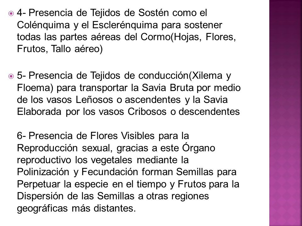 4- Presencia de Tejidos de Sostén como el Colénquima y el Esclerénquima para sostener todas las partes aéreas del Cormo(Hojas, Flores, Frutos, Tallo aéreo)